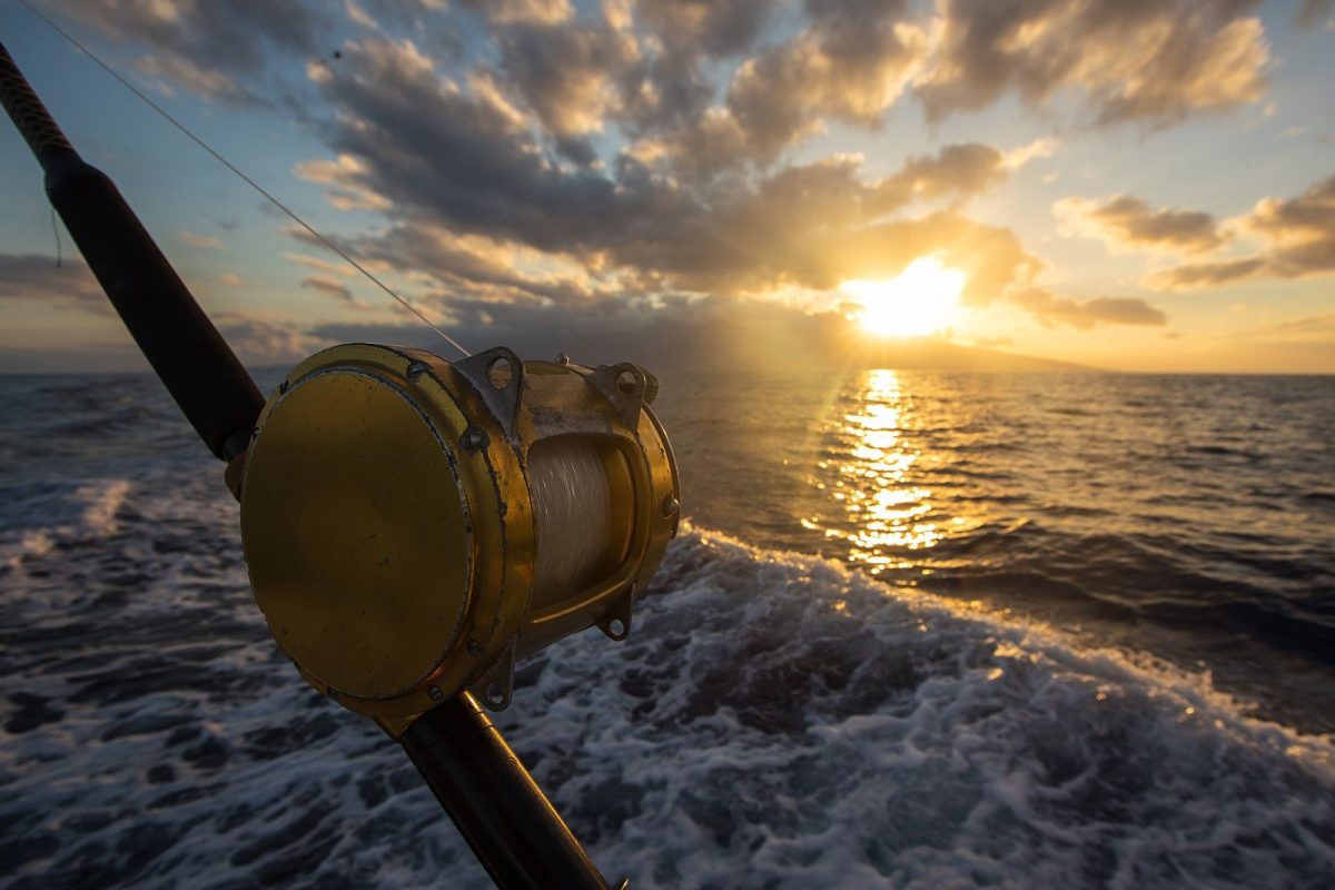 close up shot of fishing rod with Gulf waters in the backfground